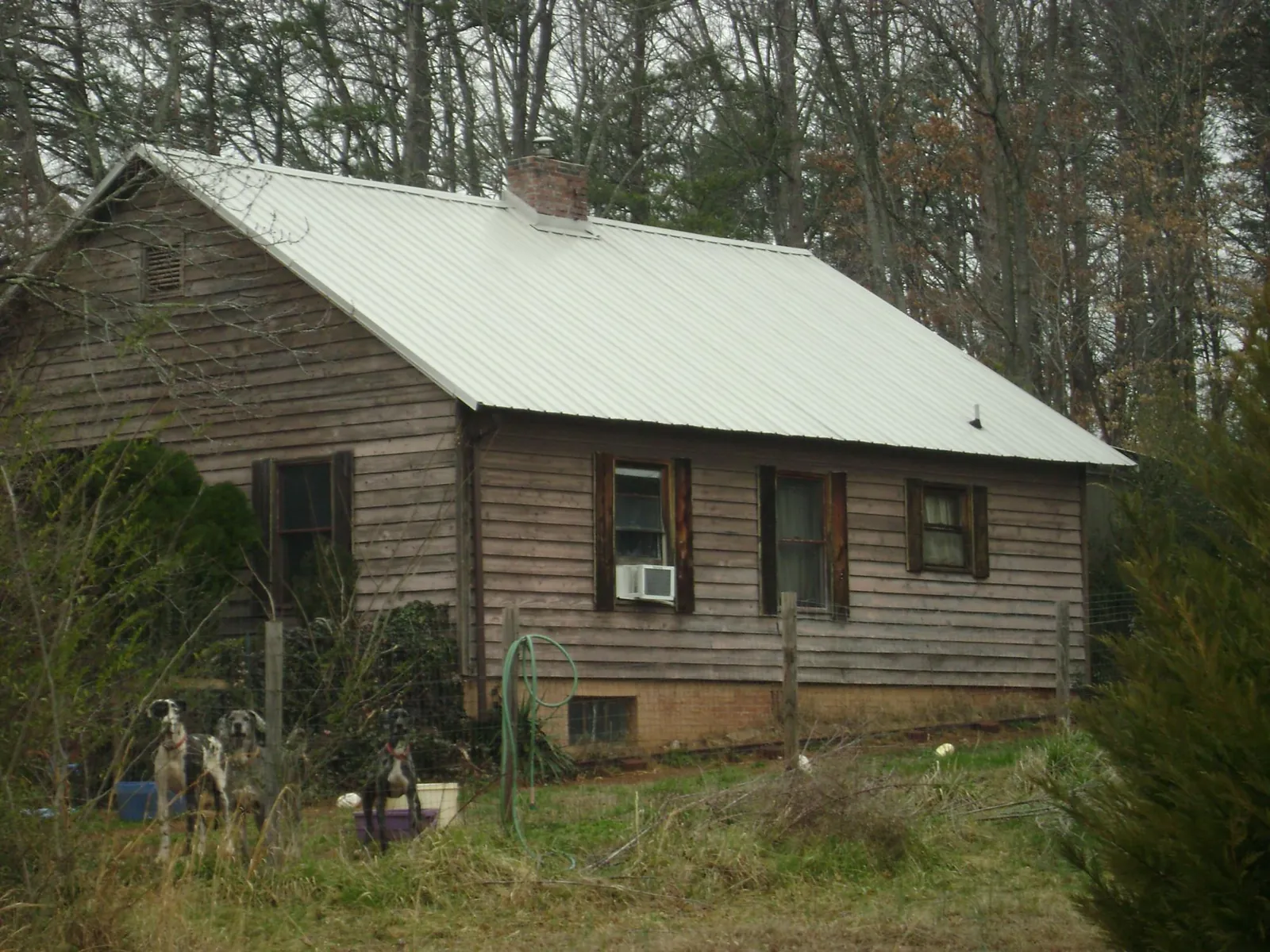 White metal roof on an old wood sided farmhouse, from a Asphalt Shingle Roof Repair job in Garrett